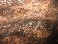 Ayers Rock: Höhlenmalerei