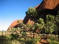 Ayers Rock mit Outbackvegetation (1)