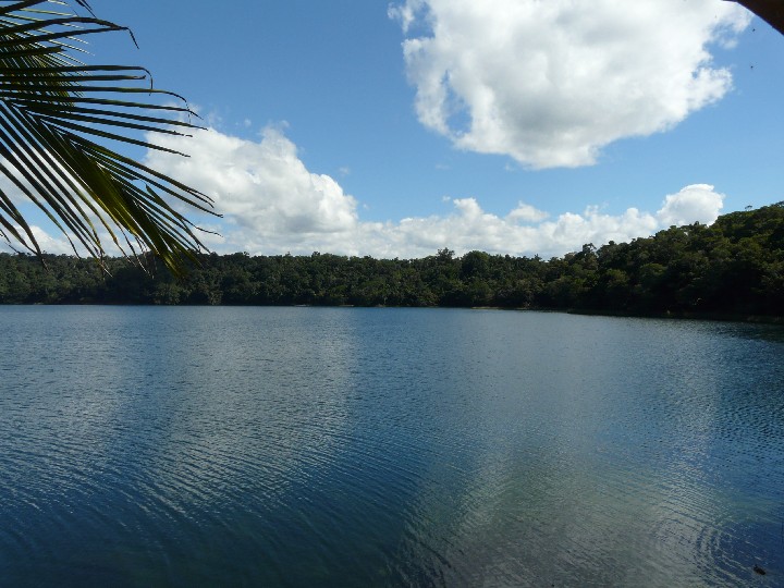 Das Maar Lake Barrine